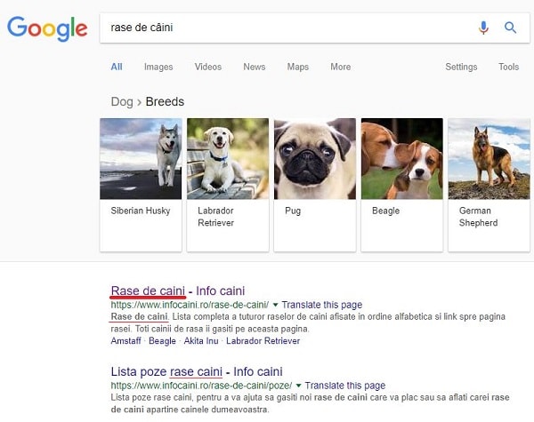 Cautare Google rase caini
